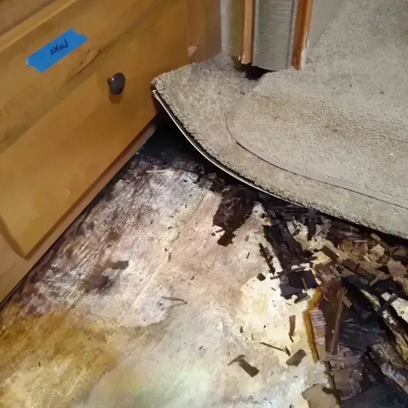 Wood Floor Water Damage in Archuleta County, CO